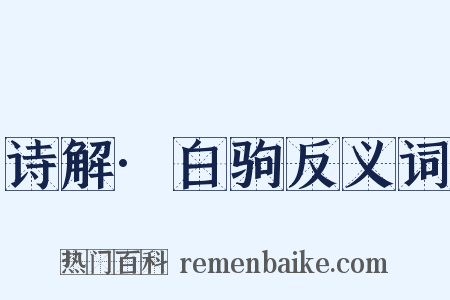 诗解·白驹反义词是什么意思的图片